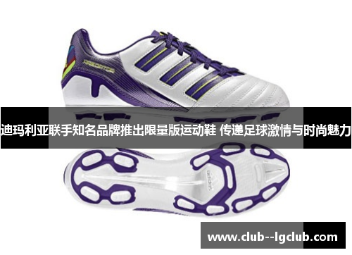 迪玛利亚联手知名品牌推出限量版运动鞋 传递足球激情与时尚魅力