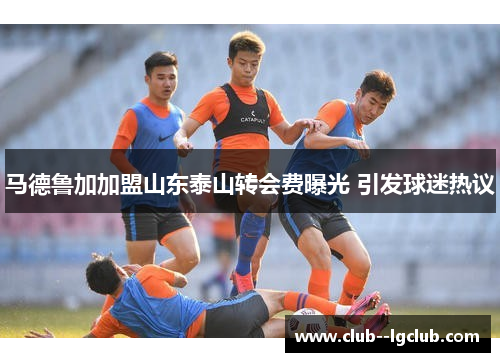 马德鲁加加盟山东泰山转会费曝光 引发球迷热议