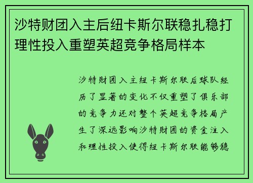 沙特财团入主后纽卡斯尔联稳扎稳打理性投入重塑英超竞争格局样本 沙特财团入主后纽卡斯尔联稳扎稳打理性投入重塑英超竞争格局样本